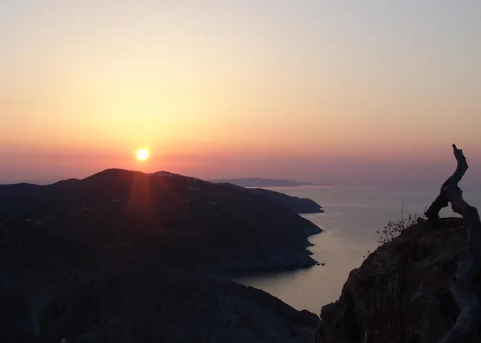 Anima Φολέγανδρος